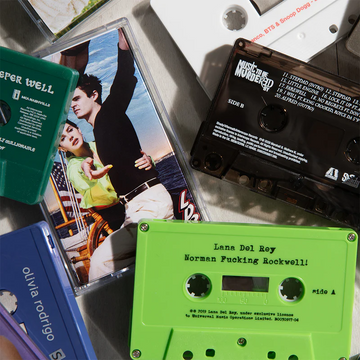 Not Just Records: Why Vinyl Collecting Is a Way of Thinking